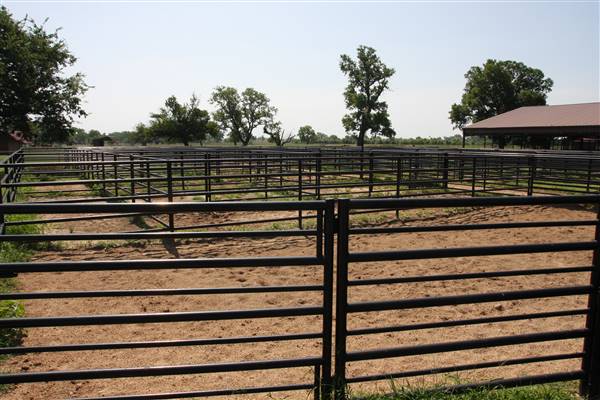 NFL Farms (7/2/2015 - Credits: Yousef Kazemi)