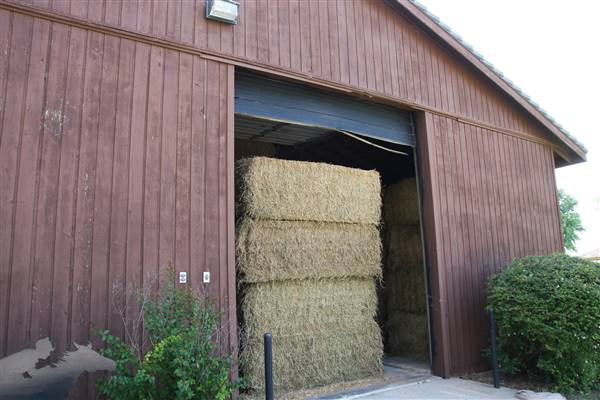 NFL Farms - Barn near circle drive (7/2/2015 - Credits: Yousef Kazemi)