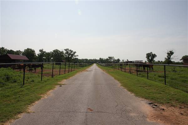 NFL Farms (7/2/2015 - Credits: Yousef Kazemi)