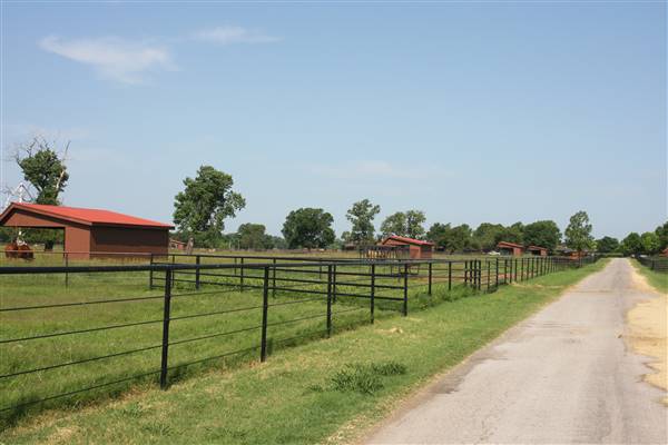 NFL Farms - Main road from circle leading into horse grazing areas and pens (7/2/2015 - Credits: Yousef Kazemi)