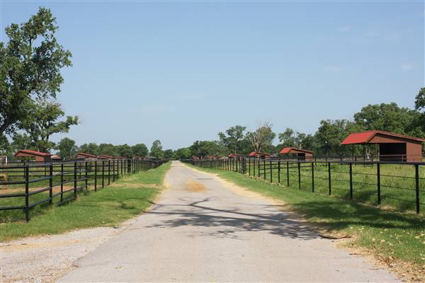 NFL Farms (7/2/2015 - Credits: Yousef Kazemi)