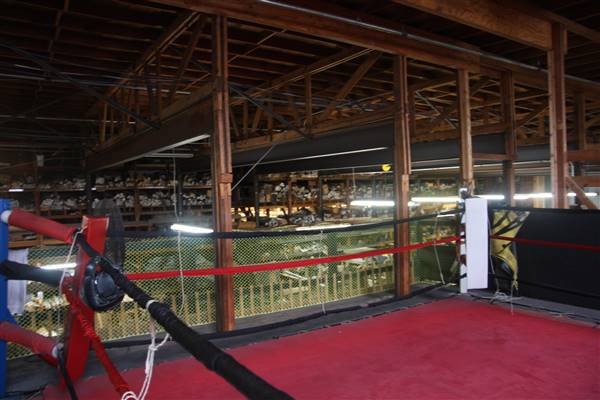 Western Avenue Boxing Gym (9/26/2017 - Credits: Yousef Kazemi)
