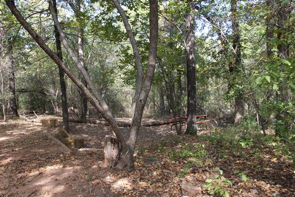 Camp DaKaNi (10/20/2017 - Credits: Christa Whetstone (intern))