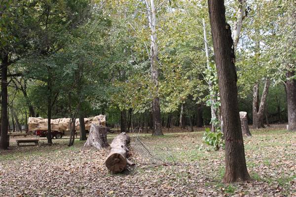 Camp DaKaNi (10/20/2017 - Credits: Christa Whetstone (intern))