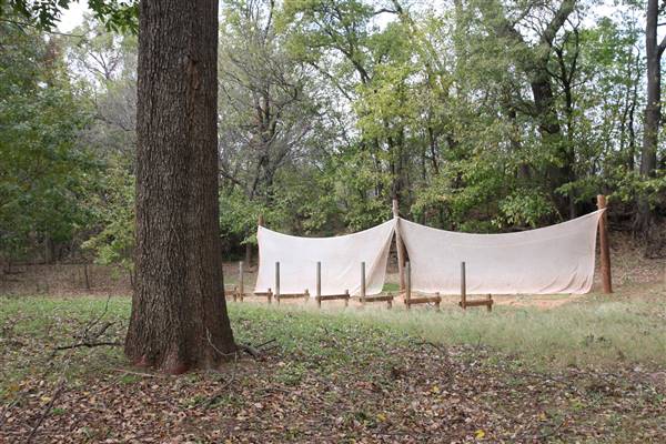 Camp DaKaNi (10/20/2017 - Credits: Christa Whetstone (intern))