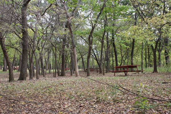 Camp DaKaNi (10/20/2017 - Credits: Christa Whetstone (intern))