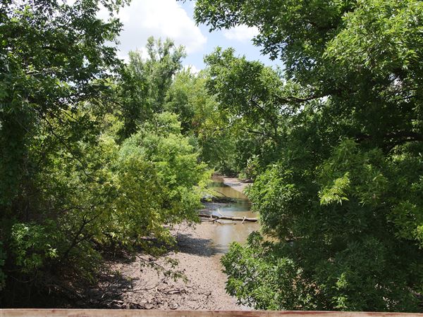 Stinchcomb Wildlife Refuge (7/31/2018 - Credits: Noah Janoe)