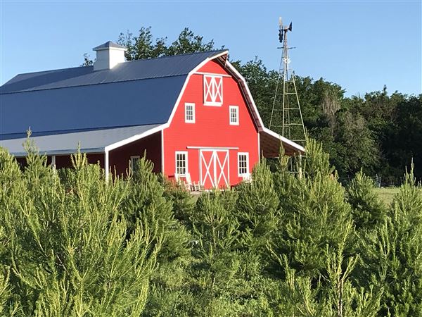 Red Bird Farm (6/5/2019 - Credits: Becky Evatt (Owner))