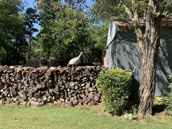 Blose Barn and Garden (9/28/2020 - Credits: Yousef Kazemi)