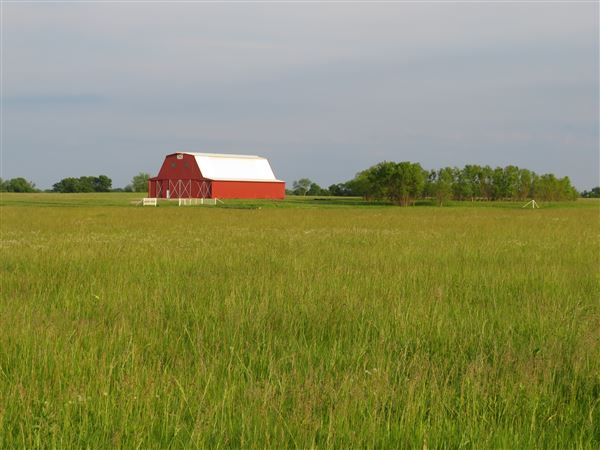 3 Bell Ranch (6/4/2021 - Credits: 6/3/2021)