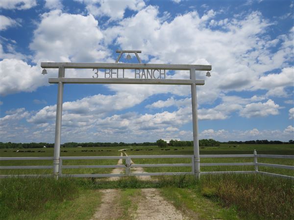 3 Bell Ranch (6/4/2021 - Credits: 6/3/2021)