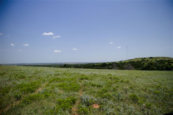 Rydell Ranch - field 2 - 2 mounds with 100' deep "red rock" canyons in between  visibility of up to 30 miles from the top of the mound Covered in mostly in eastern red cedar and some oak trees with native grasses. features slot canyons and waterfalls.  (7/28/2021 - Credits: Jeffrey Rydell)