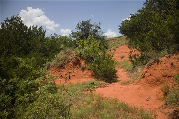 Rydell Ranch - field 2 - 2 mounds with 100' deep "red rock" canyons in between  visibility of up to 30 miles from the top of the mound Covered in mostly in eastern red cedar and some oak trees with native grasses. features slot canyons and waterfalls.  (7/28/2021 - Credits: Jeffrey Rydell)