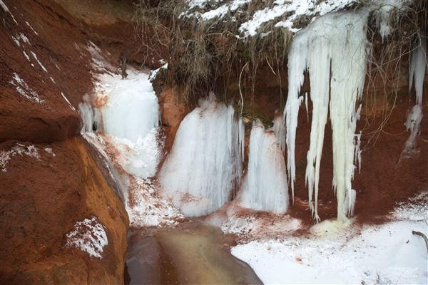 Rydell Ranch - field 2 - 2 mounds with 100' deep "red rock" canyons in between  visibility of up to 30 miles from the top of the mound Covered in mostly in eastern red cedar and some oak trees with native grasses. features slot canyons and waterfalls.  (7/28/2021 - Credits: Jeffrey Rydell)