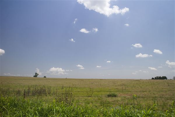 Rydell Ranch - field 3 - Clear cut rolling farmland with views of up to 30 miles few trees (7/28/2021 - Credits: Jeffrey Rydell)