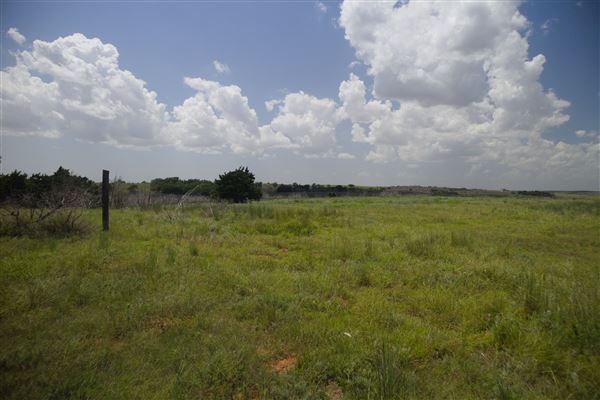 Rydell Ranch - field 6 Rolling farmland with deep canyons, large pond and  Covered in mostly in eastern red cedar and oak trees with native grasses. features slot canyons and waterfalls. (7/28/2021 - Credits: Jeffrey Rydell)
