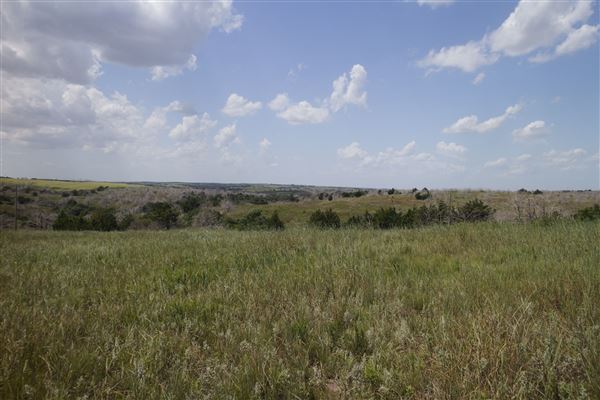 Rydell Ranch - field 6 Rolling farmland with deep canyons, large pond and  Covered in mostly in eastern red cedar and oak trees with native grasses. features slot canyons and waterfalls. (7/28/2021 - Credits: Jeffrey Rydell)