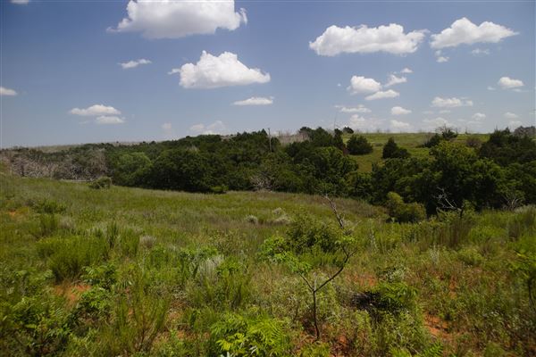 Rydell Ranch - field 6 Rolling farmland with deep canyons, large pond and  Covered in mostly in eastern red cedar and oak trees with native grasses. features slot canyons and waterfalls. (7/28/2021 - Credits: Jeffrey Rydell)