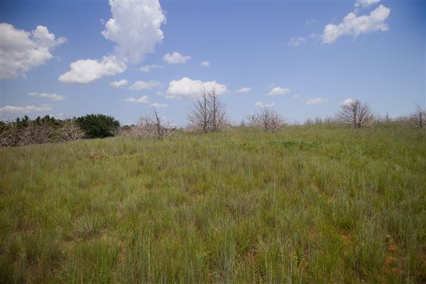 Rydell Ranch - field 6 Rolling farmland with deep canyons, large pond and  Covered in mostly in eastern red cedar and oak trees with native grasses. features slot canyons and waterfalls. (7/28/2021 - Credits: Jeffrey Rydell)