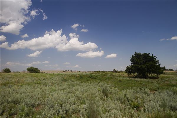 Rydell Ranch - field 6 Rolling farmland with deep canyons, large pond and  Covered in mostly in eastern red cedar and oak trees with native grasses. features slot canyons and waterfalls. (7/28/2021 - Credits: Jeffrey Rydell)
