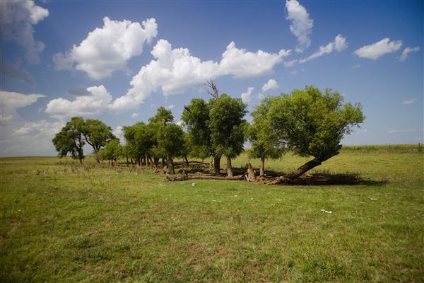 Rydell Ranch - field 7 - Clear cut rolling farmland with few trees. (7/28/2021 - Credits: Jeffrey Rydell)