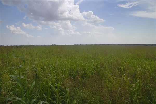 Rydell Ranch - field 8 - Clear cut rolling farmland with no trees and no fences and clear horizon (7/28/2021 - Credits: Jeffrey Rydell)