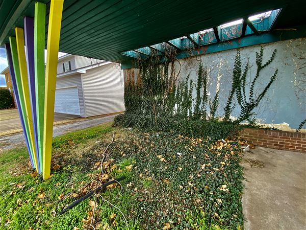 Chickasha Flowers (2/18/2021 - Credits: John Cowan)
