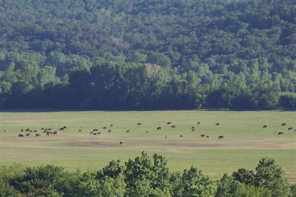 Flying L Ranch (5/2/2022 - Credits: Flying L Ranch)