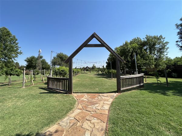 Nellis Vineyards (6/22/2022 - Credits: Yousef Kazemi / OFMO)
