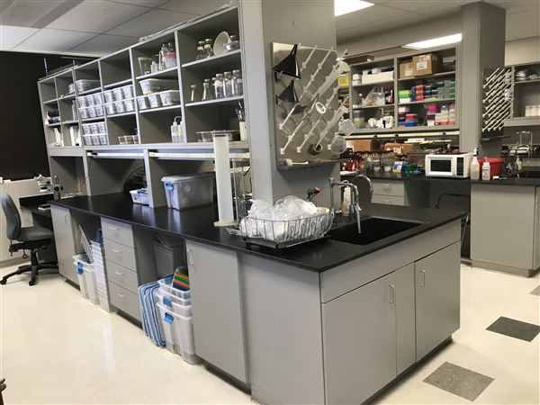 All Things Bugs (5/25/2023 - Credits: Dr. Aaron T. Dossey)