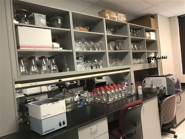 All Things Bugs (5/25/2023 - Credits: Dr. Aaron T. Dossey)