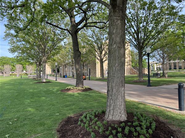 University of Tulsa (4/17/2025 - Credits: Yousef Kazemi / OF+MO)