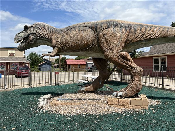 Dinosaur Photo Park (8/25/2023 - Credits: Yousef Kazemi / OF+MO)