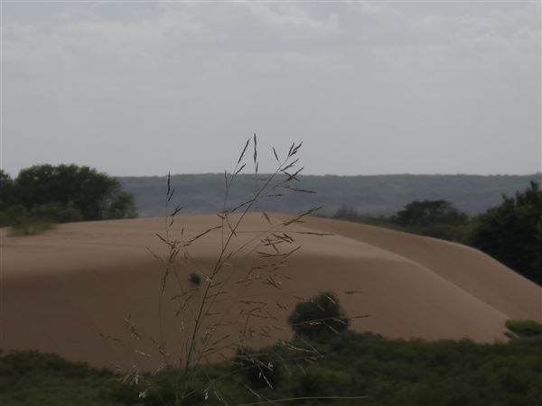 America's Oasis (7/7/2025)