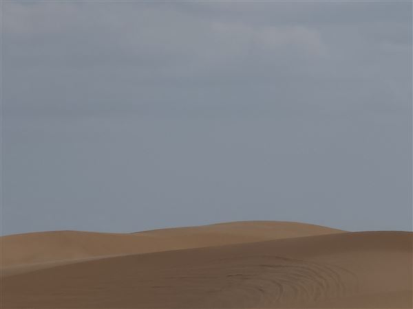 America's Oasis (7/7/2025)