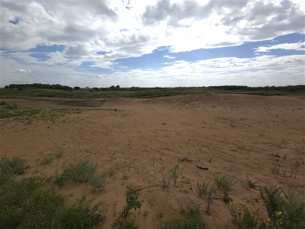America's Oasis (7/7/2025)
