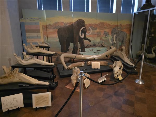 Northwestern Oklahoma State University Museum (7/2/2025 - Credits: Jeremy Zeller)